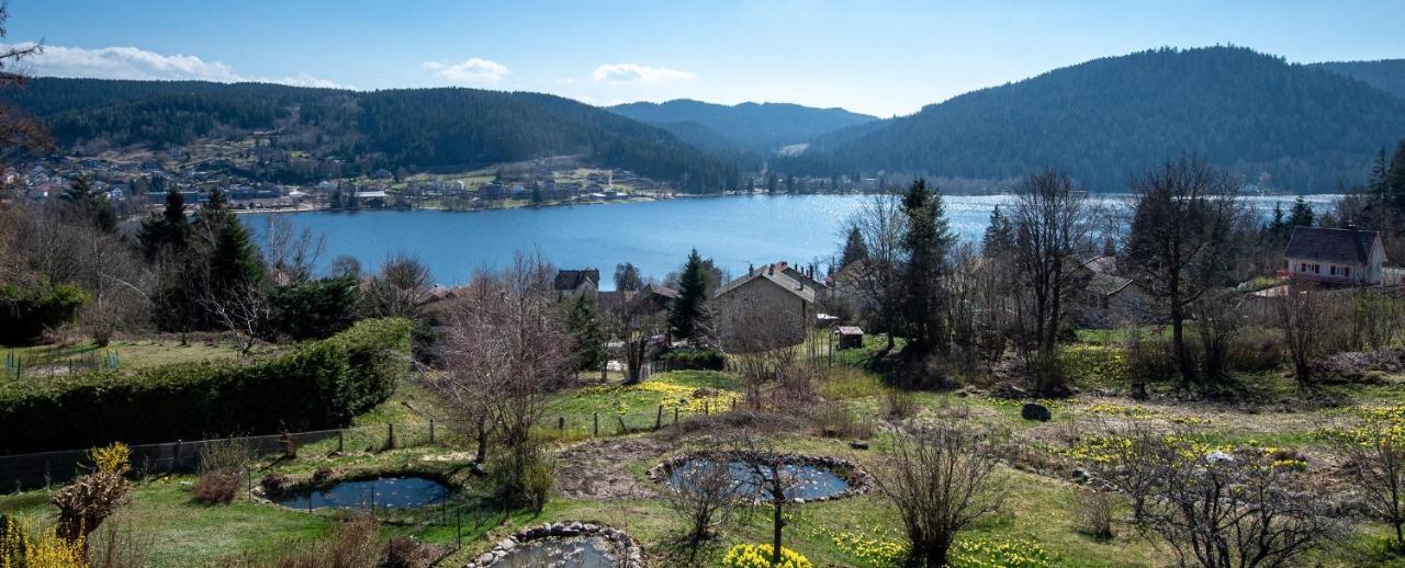 Moho Mountain Home Gérardmer Eksteriør billede