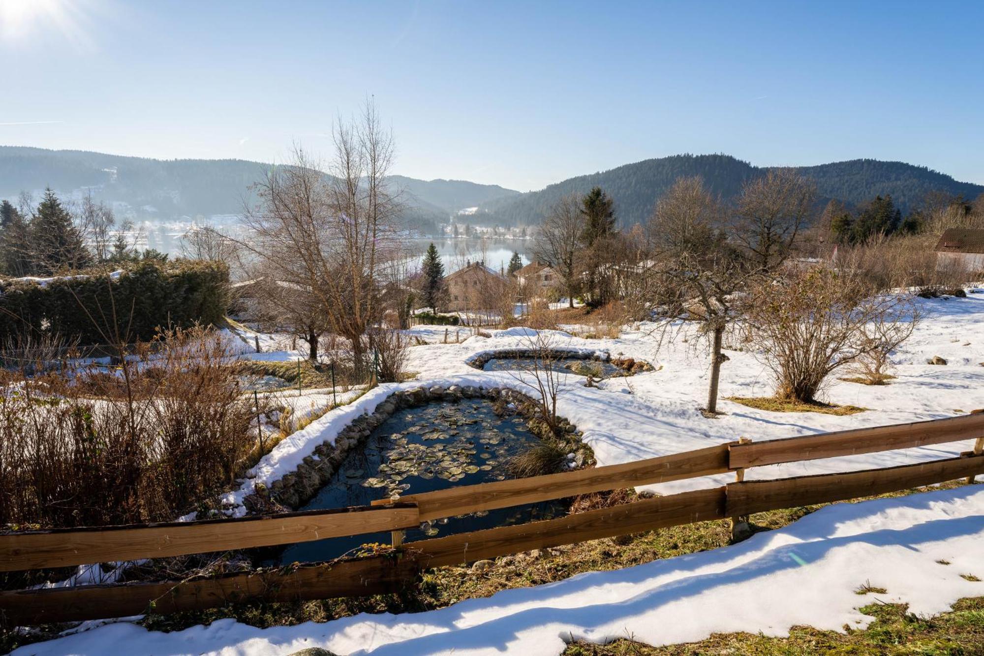 Moho Mountain Home Gérardmer Eksteriør billede